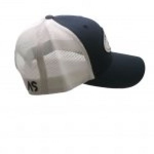 as oval azul trasera